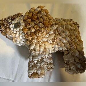 Seashell Elephant Staue
